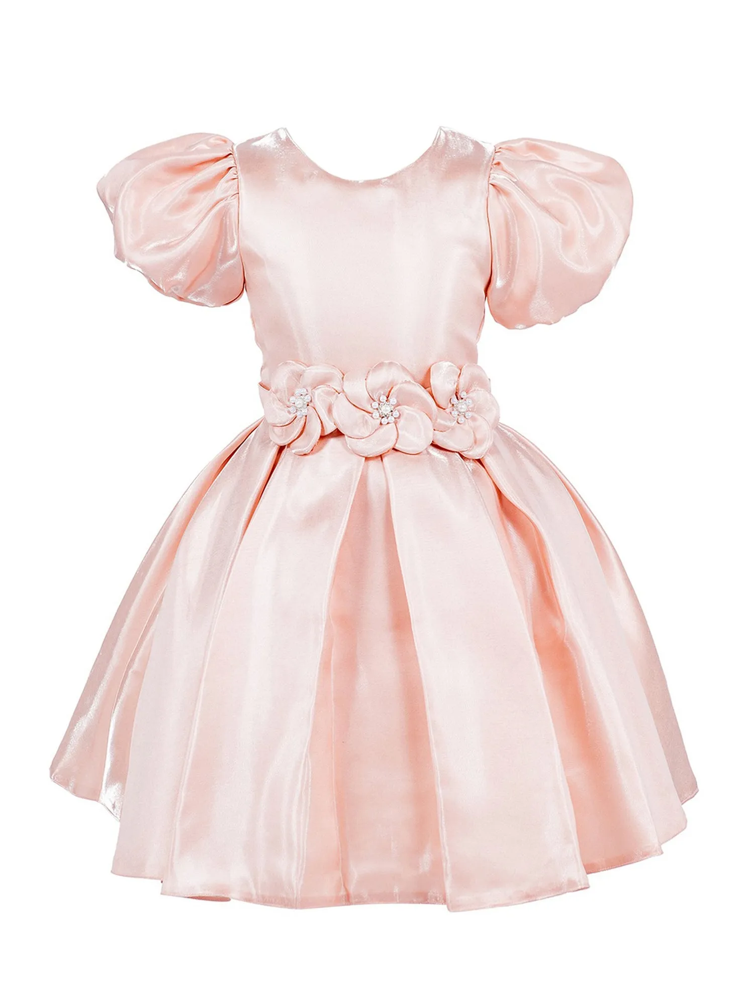 Girls Lala & Erina Multi Color Puff Sleeve Pleated Flower Girl Dress 2-12